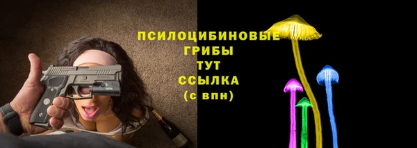 дживик Верхний Тагил