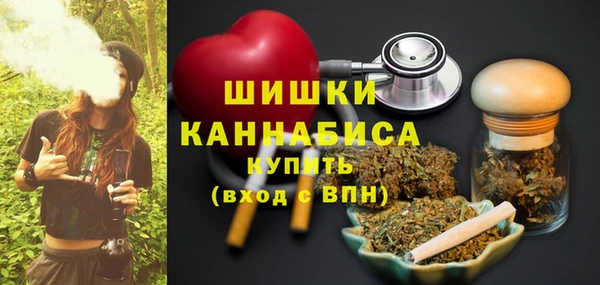 дживик Верхний Тагил