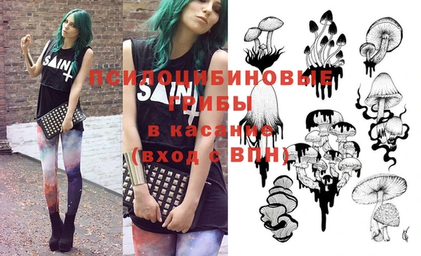 крисы Верея