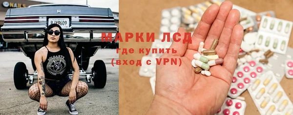 дживик Верхний Тагил