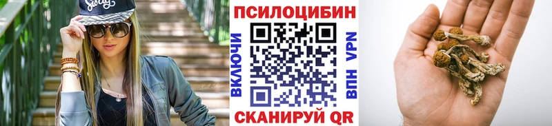 купить   Псков  omg как зайти  Галлюциногенные грибы Psilocybine cubensis 